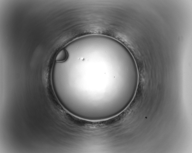 X0000088840679200706211833