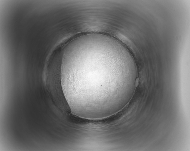 X0000088840680200706211833