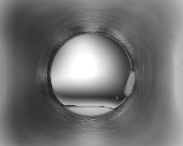 X0000088840681200706211833