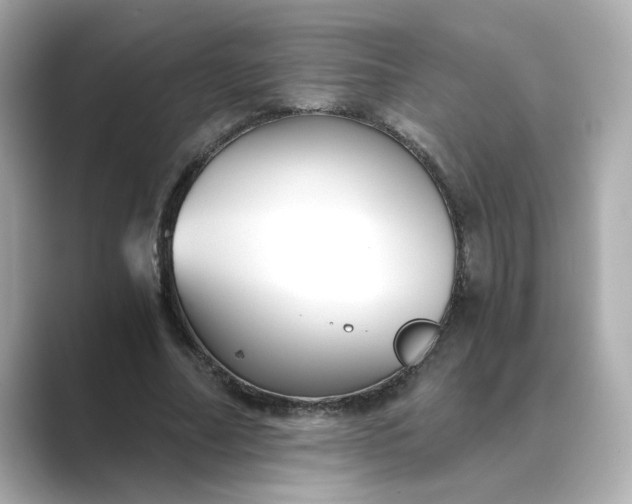 X0000088840682200706211833