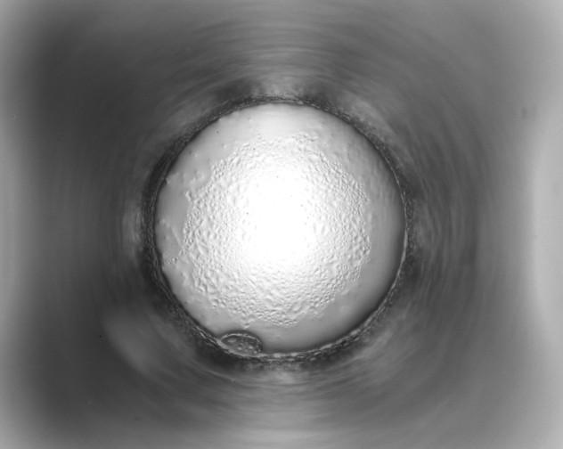 X0000088840683200706211833