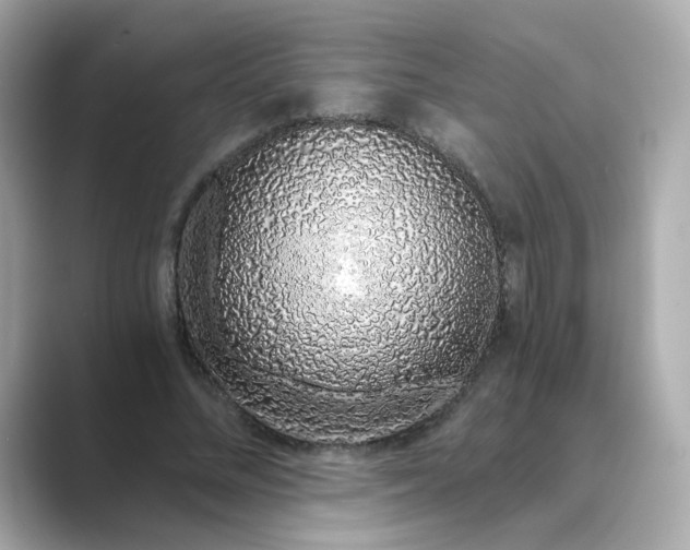 X0000088840684200706211833