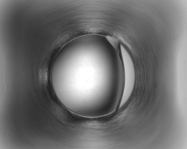 X0000088840685200706211833