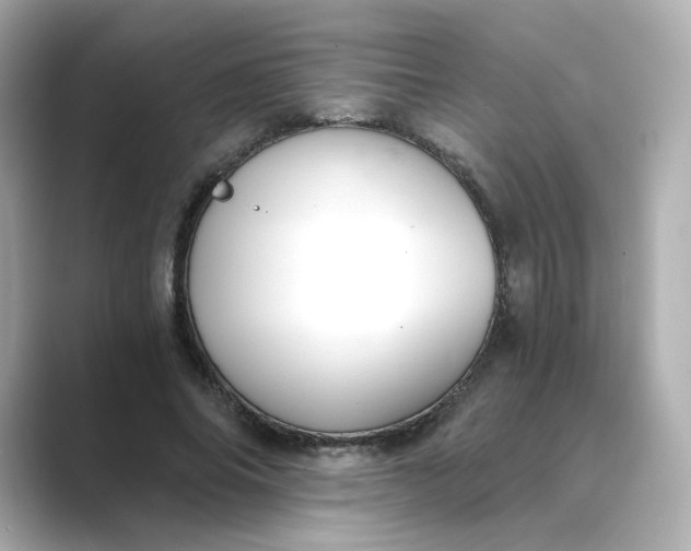 X0000088840686200706211833