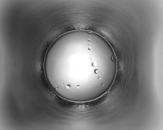 X0000088840687200706211833