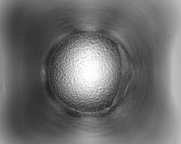 X0000088840688200706211833