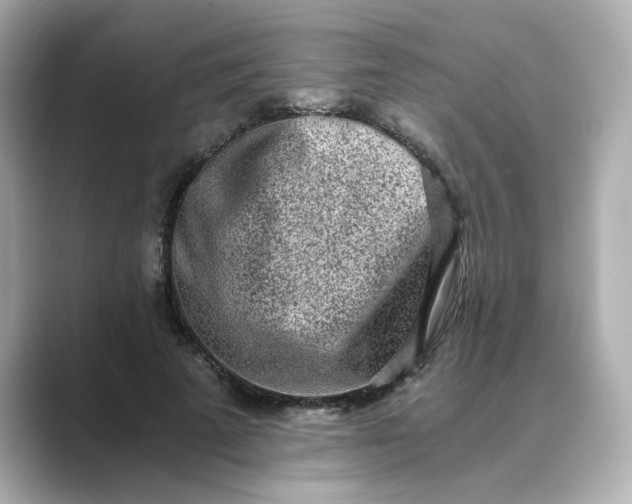 X0000088840689200706211833