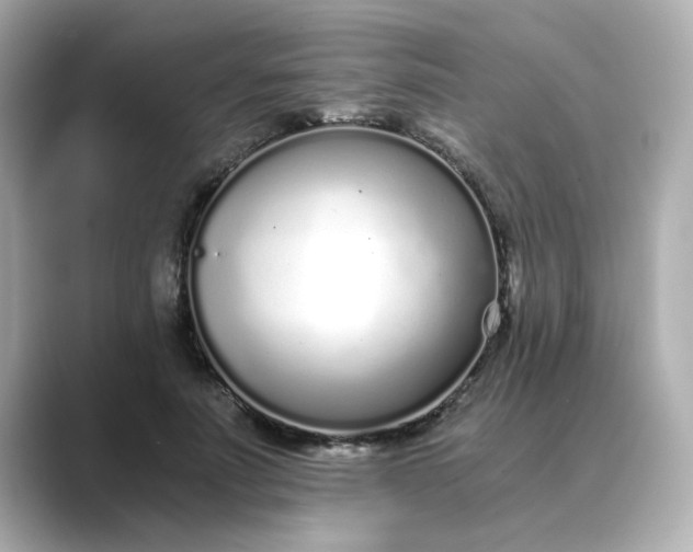 X0000088840691200706211833