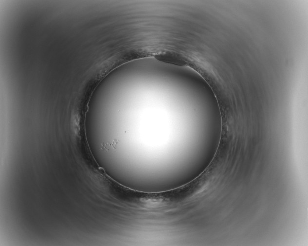 X0000088840693200706211833