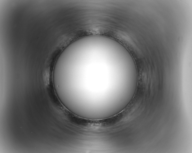 X0000088840694200706211833