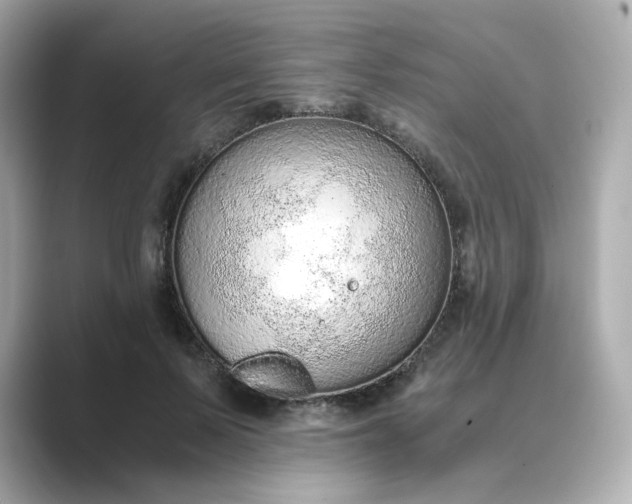 X0000088840695200706211833