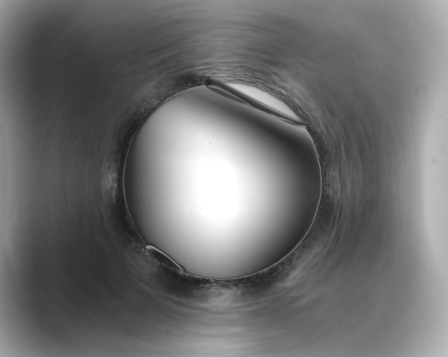 X0000088840697200706211833