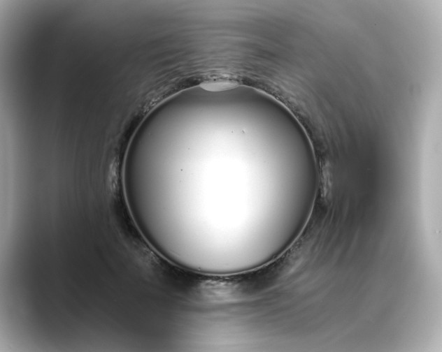 X0000088840699200706211833