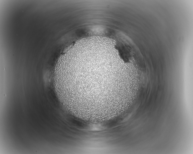 X0000088840701200706211833