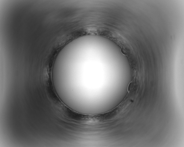 X0000088840702200706211833