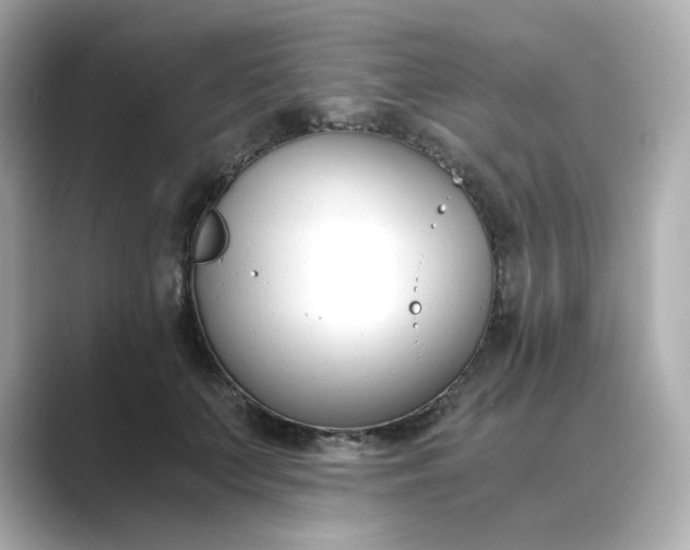 X0000088840703200706211833