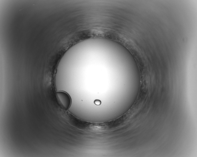 X0000088840706200706211833