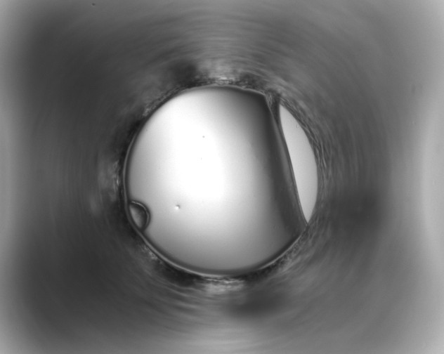 X0000088840707200706211833