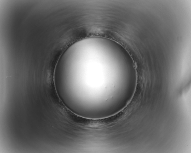 X0000088840708200706211833