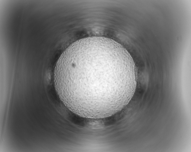 X0000088840709200706211833