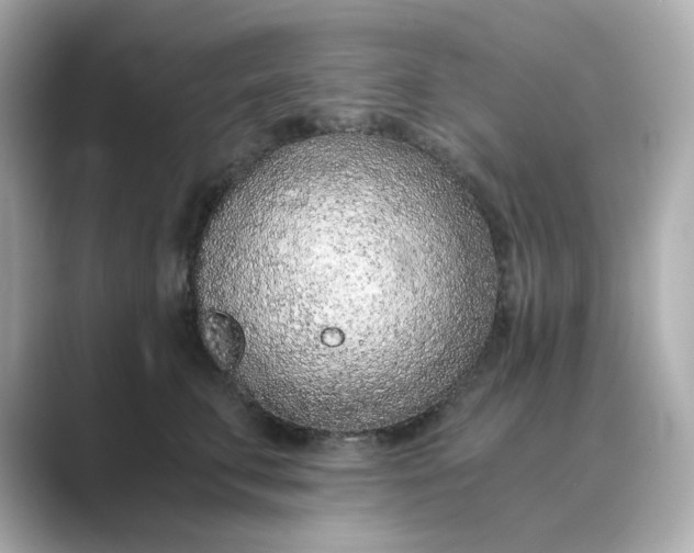 X0000088840711200706211833