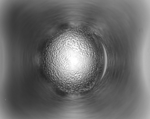 X0000088840712200706211833