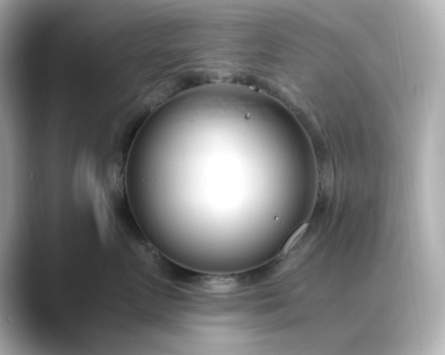 X0000088840719200706211833