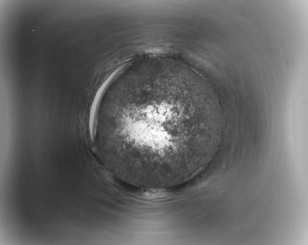 X0000088840720200706211833