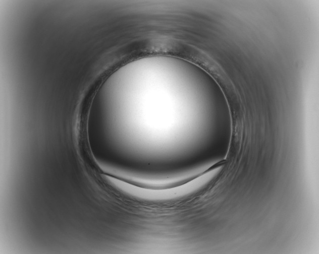 X0000088840722200706211832