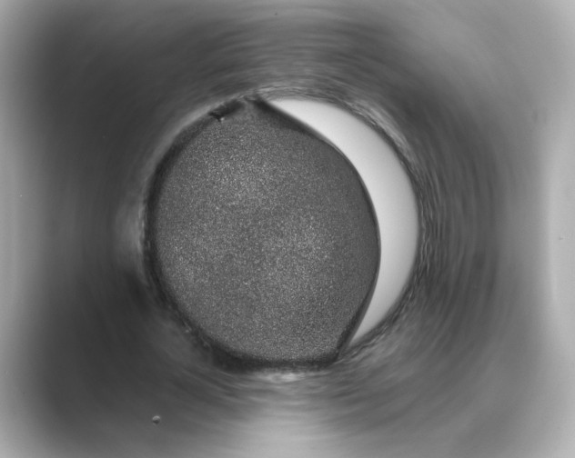 X0000088840724200706211832