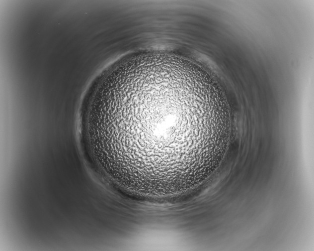 X0000088840726200706211832