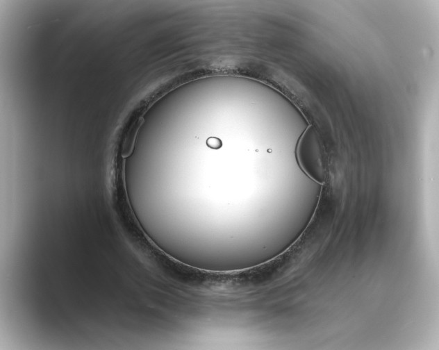 X0000088840728200706211832