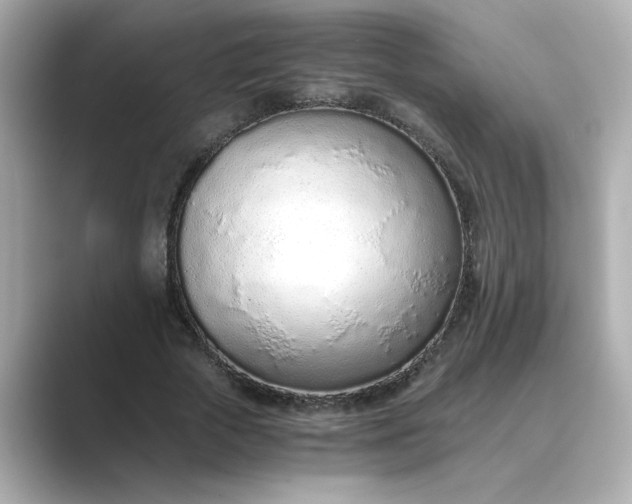 X0000088840729200706211832