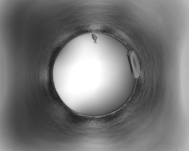 X0000088840732200706211832