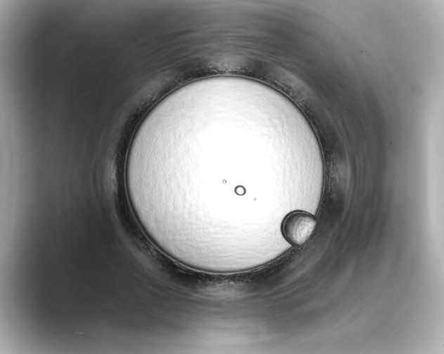 X0000088840734200706211832