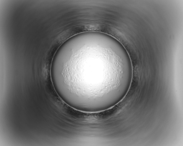 X0000088840741200706211833