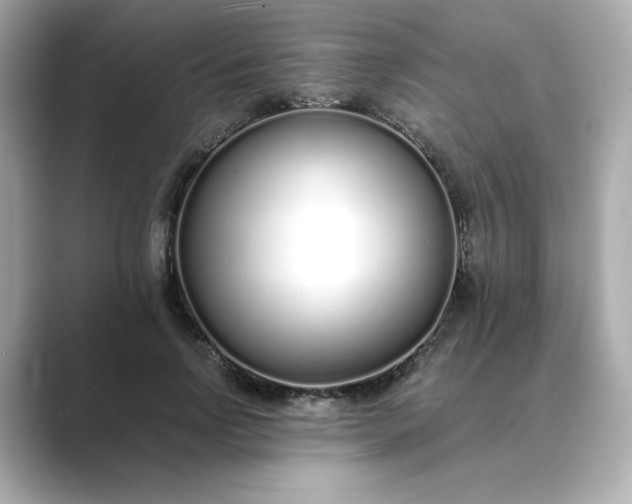 X0000088840742200706211833