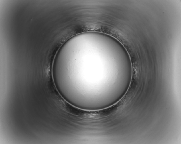 X0000088840745200706211833