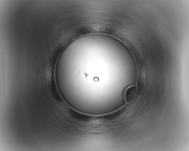 X0000088840746200706211833