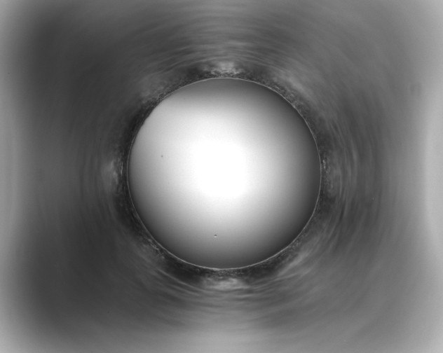 X0000088840747200706211833