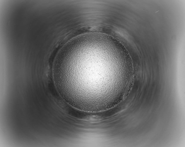 X0000088840748200706211833