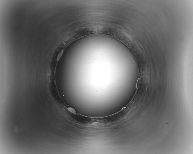 X0000088840750200706211833