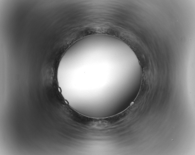 X0000088840752200706211833