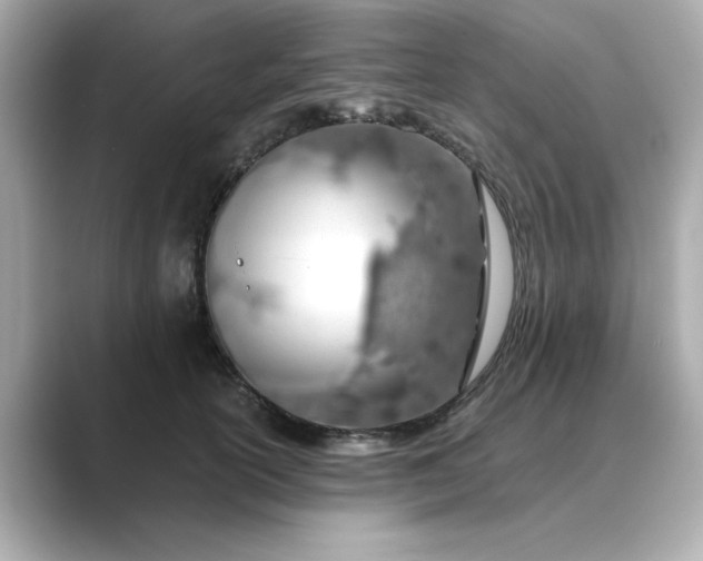 X0000088840754200706211833