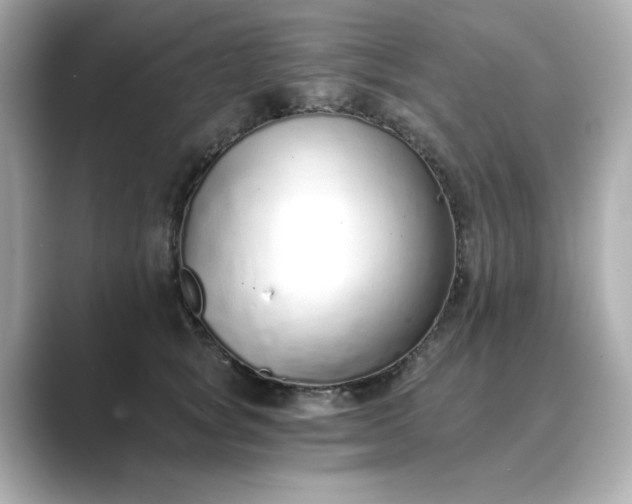 X0000088840757200706211833