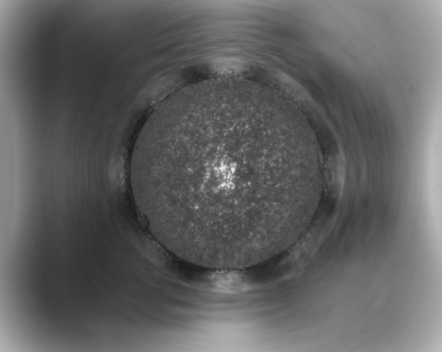 X0000088840762200706211833