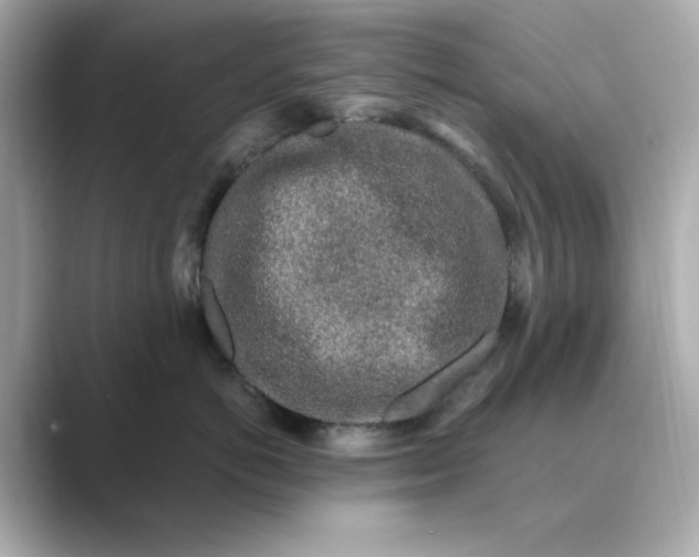 X0000088840766200706211833