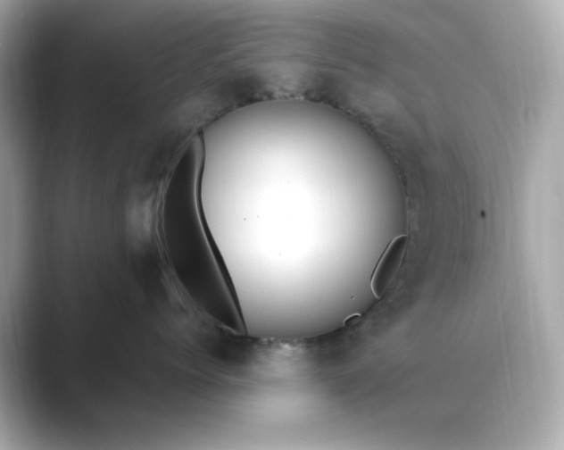 X0000088840768200706211833