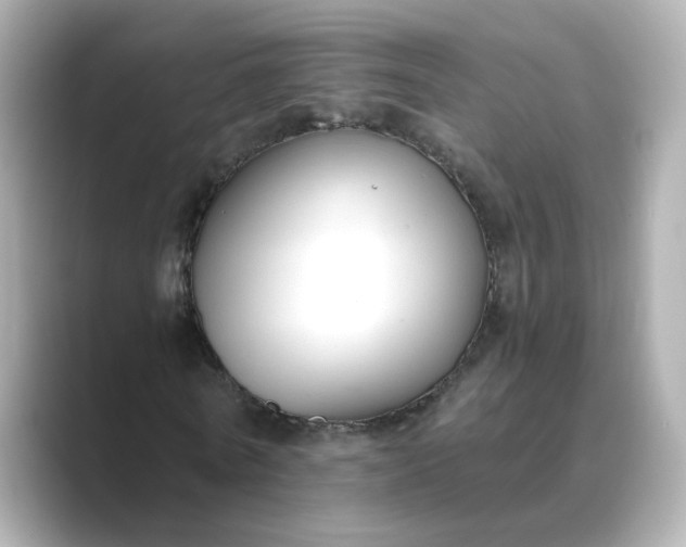 X0000088840770200706211832