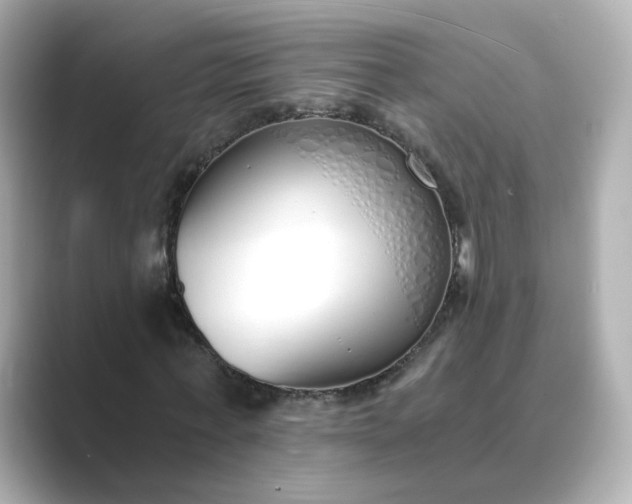 X0000088840771200706211832